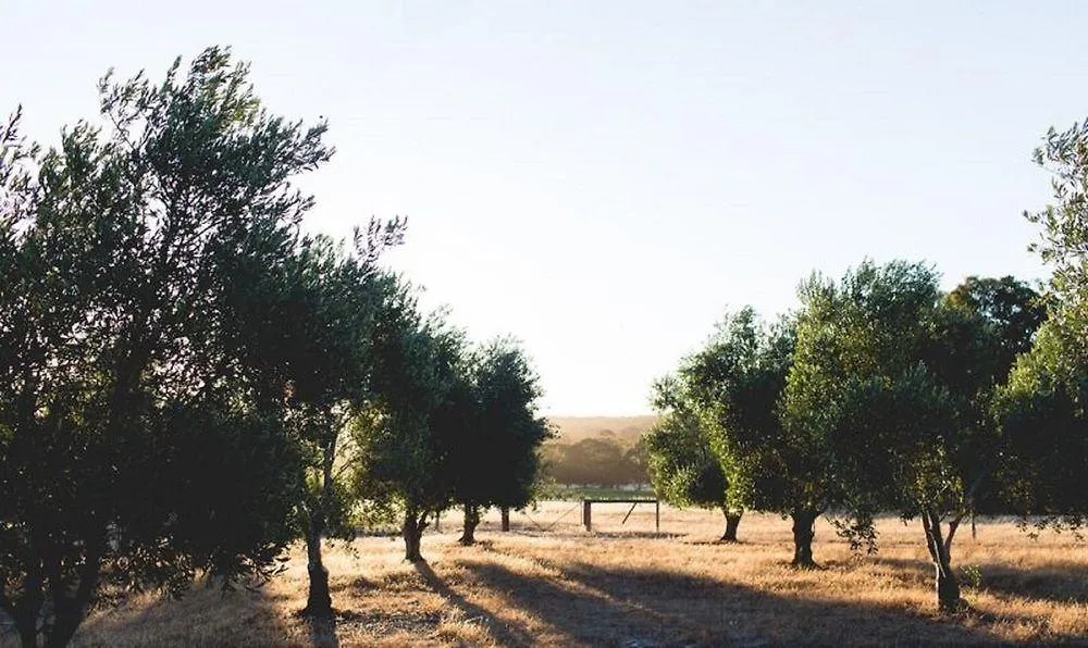 מלון Empire Retreat דנסבורו