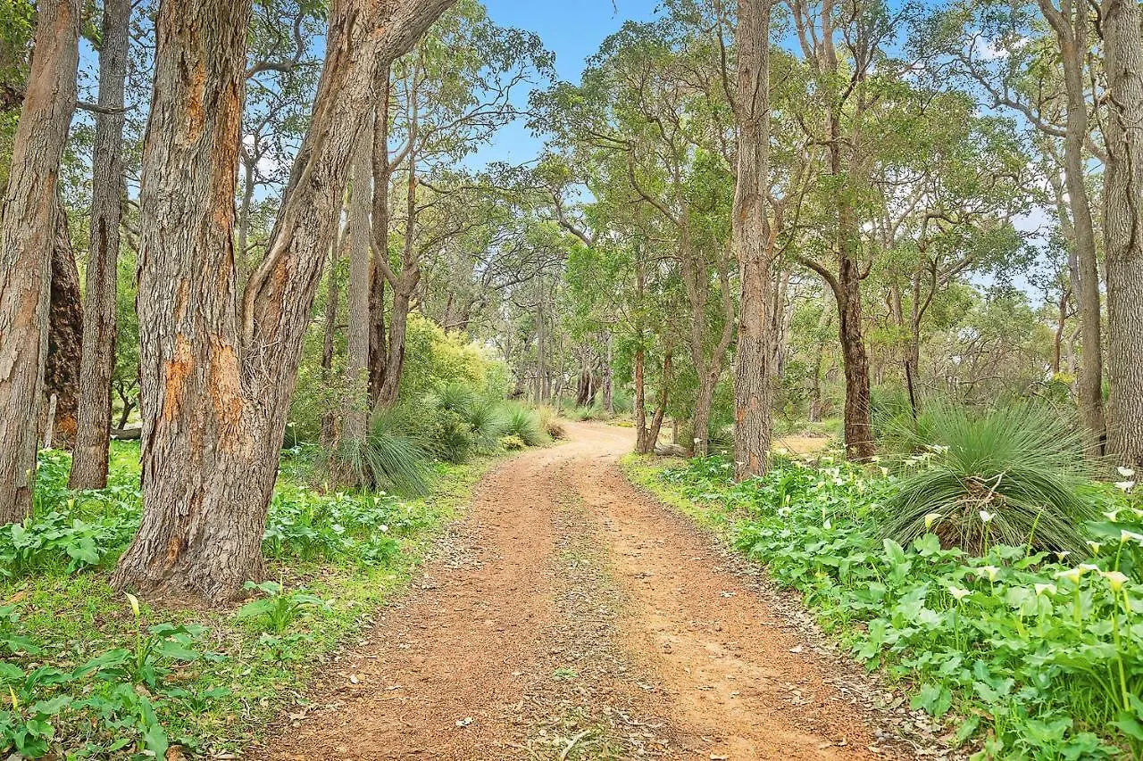 Grasstree - Woodstone Estate