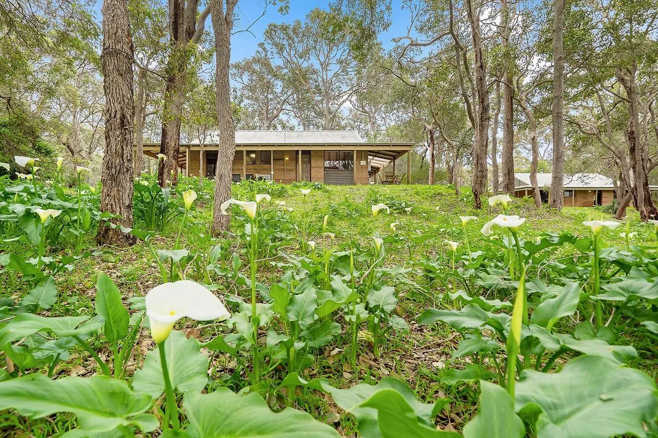 Grasstree - Woodstone Estate