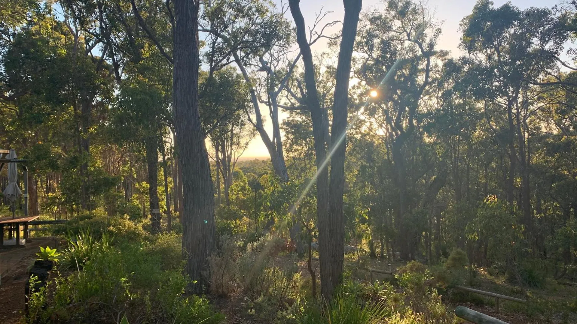 Lodge Ridge Retreat
