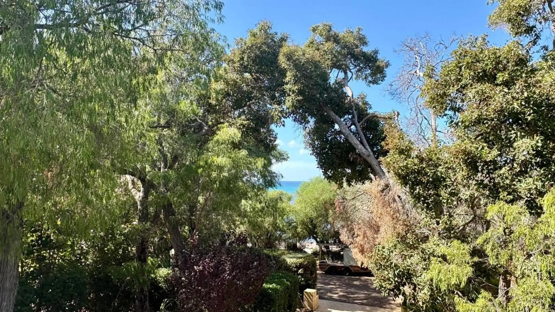 Delight Dunsborough
