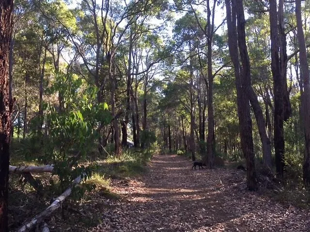 Lodge Ridge Retreat *