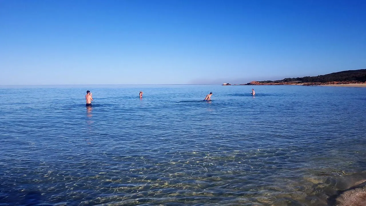 Beach * 던스브로그