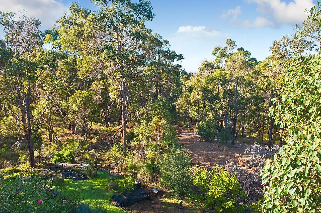 A Hidden Bush Delight Holiday home *
