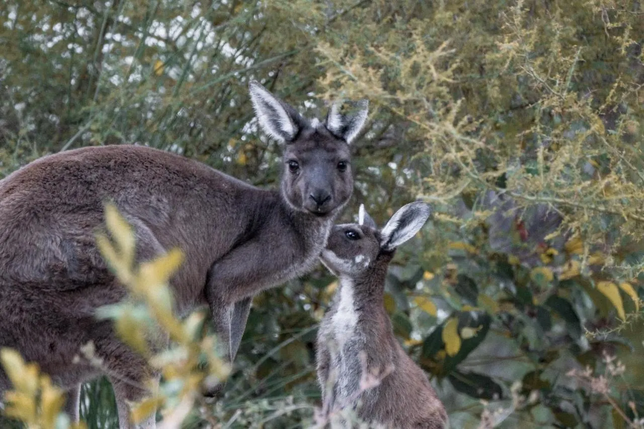 Bina Maya Yallingup Escape 5* Dunsborough