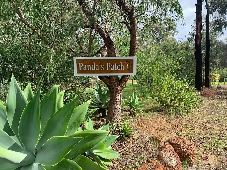 Panda's Patch