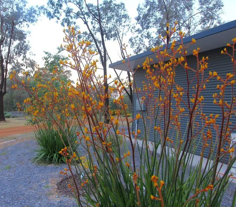 Panda's Patch Chalet *