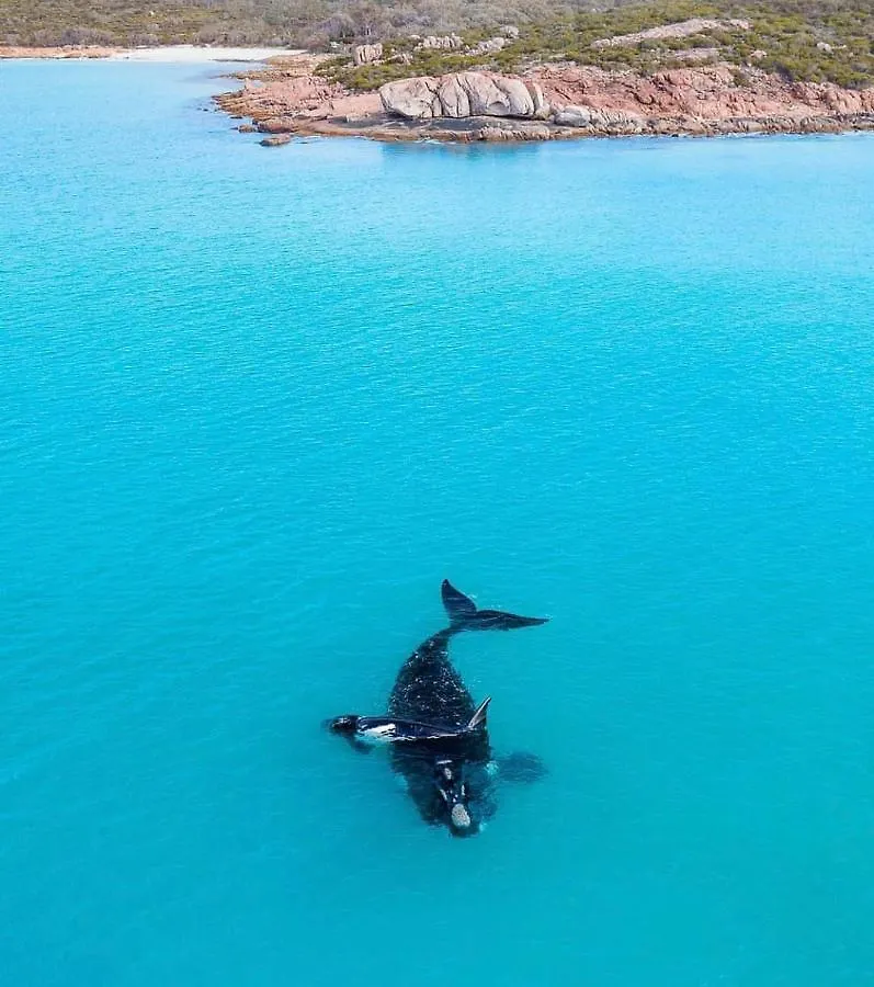 Gem * Dunsborough